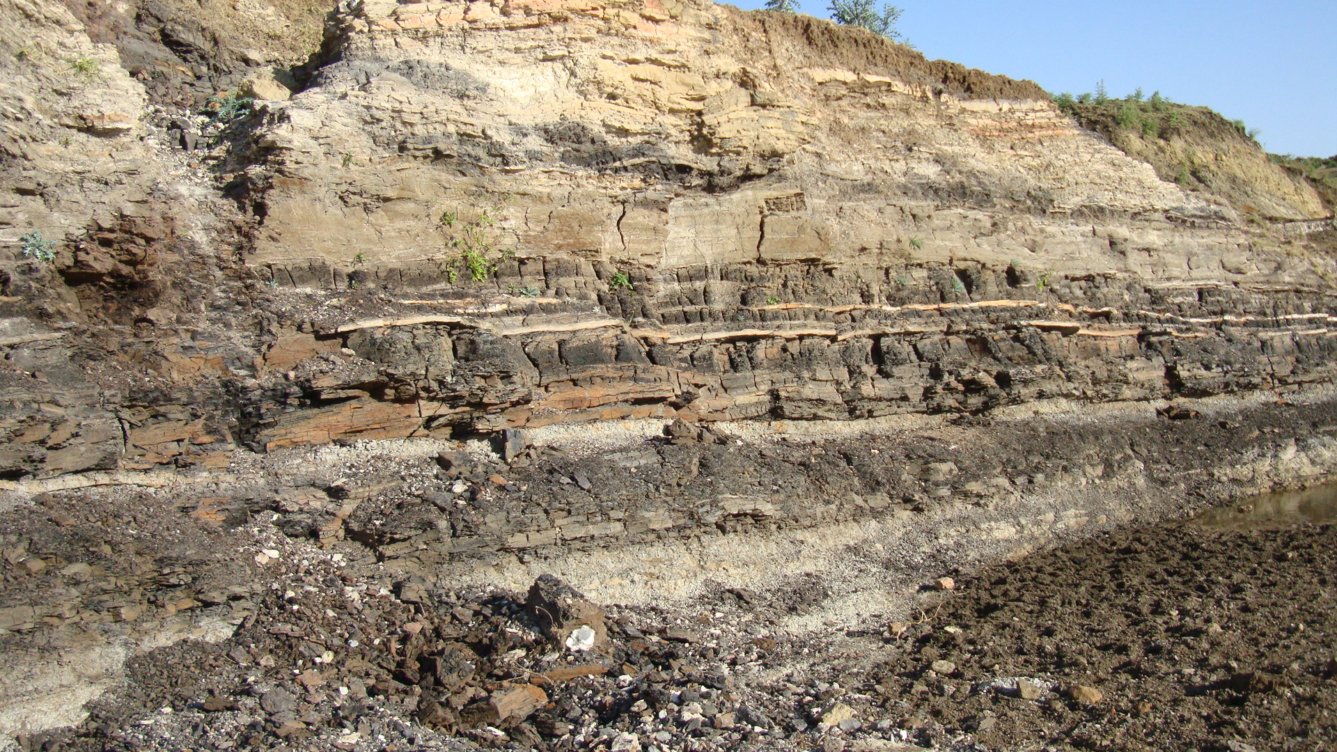 Mineral Exploration
